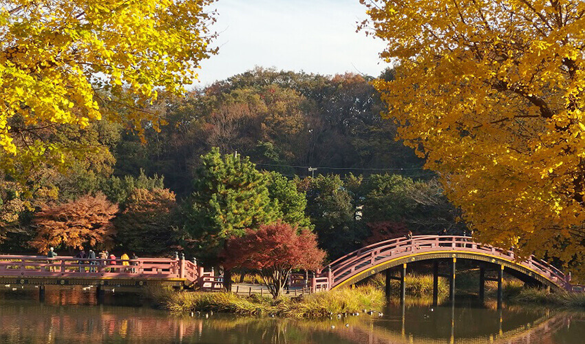 称名寺 紅葉