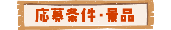 応募条件・景品