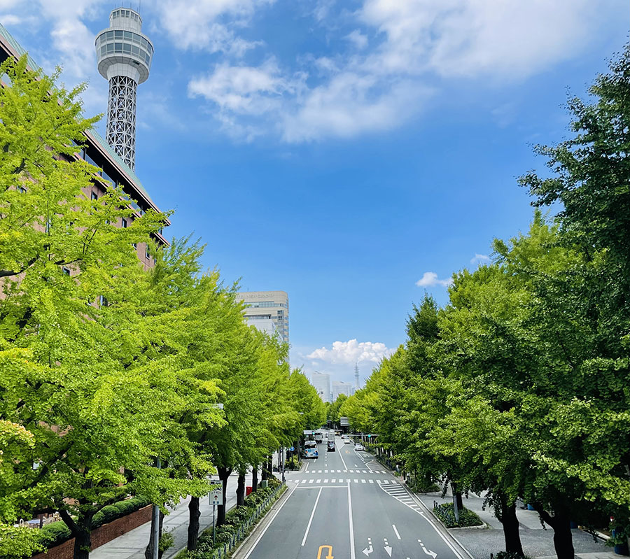 山下公園通り歩行者天国