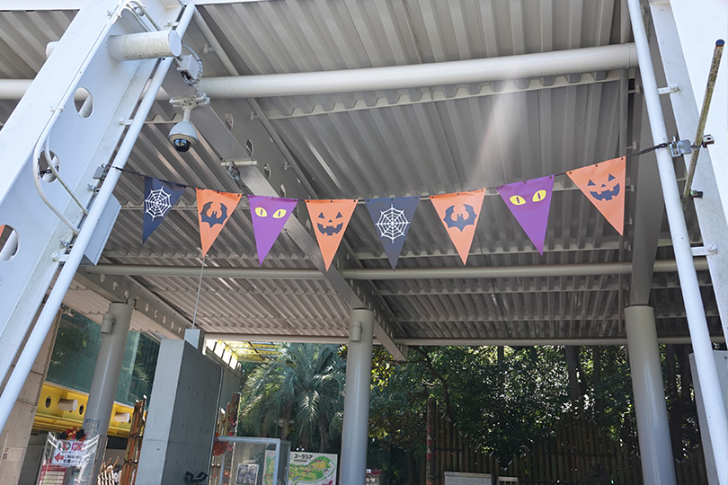 よこはま動物園ズーラシア「ズーラシアハロウィン」