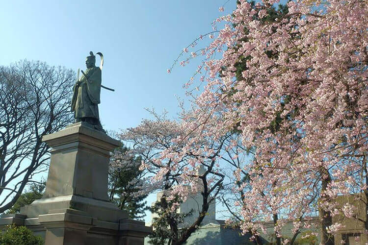 掃部山公園の井伊直弼と桜