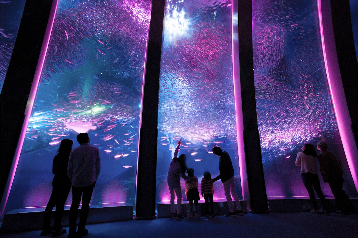 横浜・八景島シーパラダイスの水族館