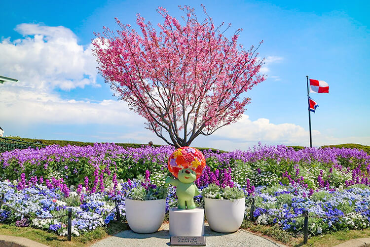 港の見える丘公園のガーデンベア花壇と桜