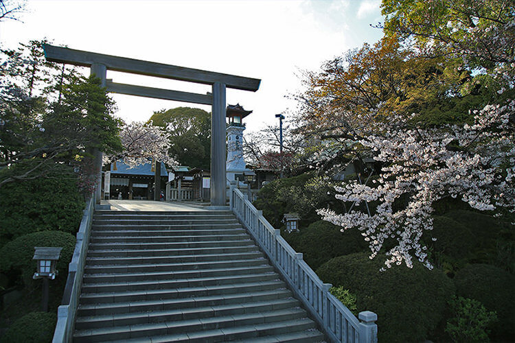 伊勢山皇大神宮の鳥居と桜