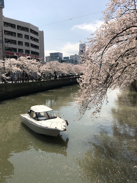 春の横浜大岡川クルーズ＜京急電鉄×リザーブドクルーズ＞