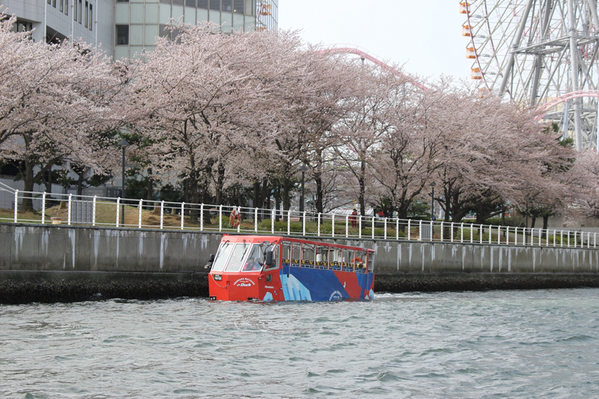 みなとハイカラコース＜スカイダック横浜＞