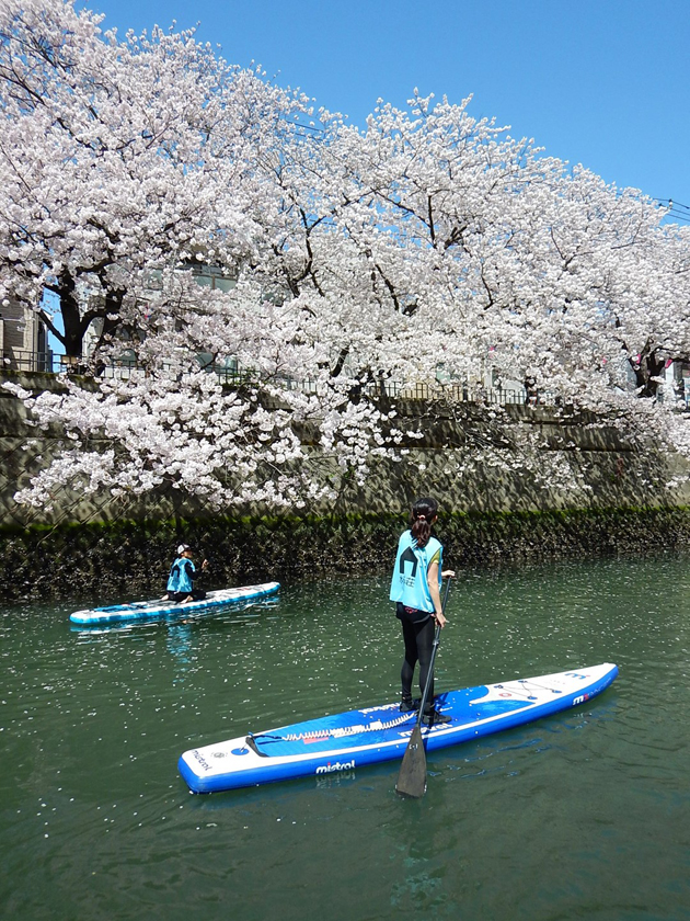 春の大岡川桜SUPツアー＜一般社団法人水辺荘＞