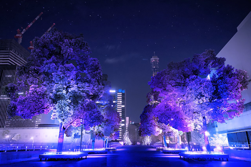 ヨコハマミライト 2022～みらいを照らす、光のまち～（ヨーヨ広場）