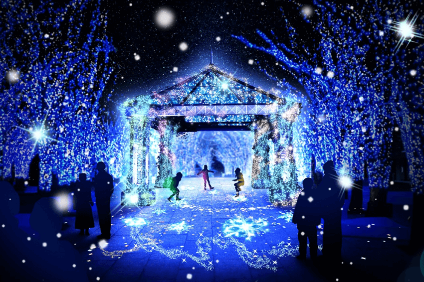 横浜イルミネーション・クリスマス特集2020｜【公式】横浜市観光