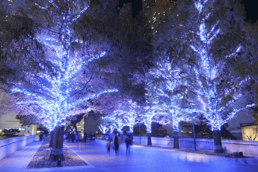 ヨコハマミライト 2021 ～みらいを照らす、光のまち～ 美術の広場