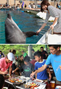 夏休みの横浜を海と陸で楽しむアウトドア特集2018