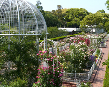 横浜市こども植物園