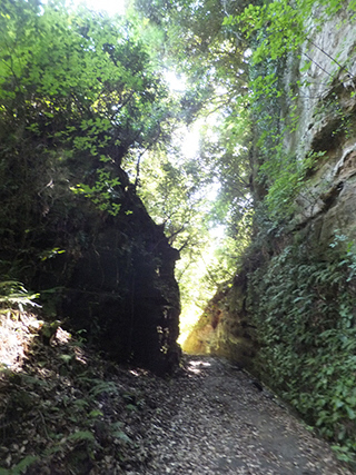 朝夷奈切通（和田義盛のゆかりの地）