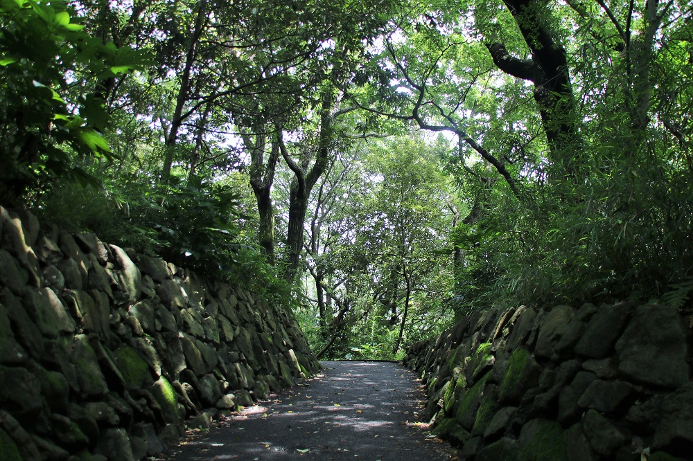 水道みち向台公園　陣ケ下渓谷（和田義盛のゆかりの地）