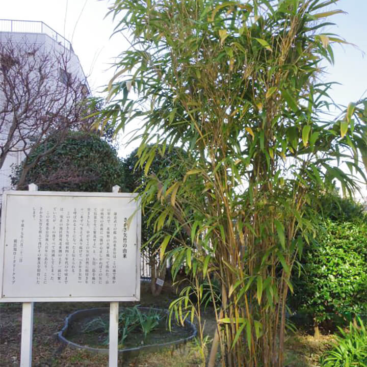 さかさ矢竹（畠山重忠のゆかりの地）