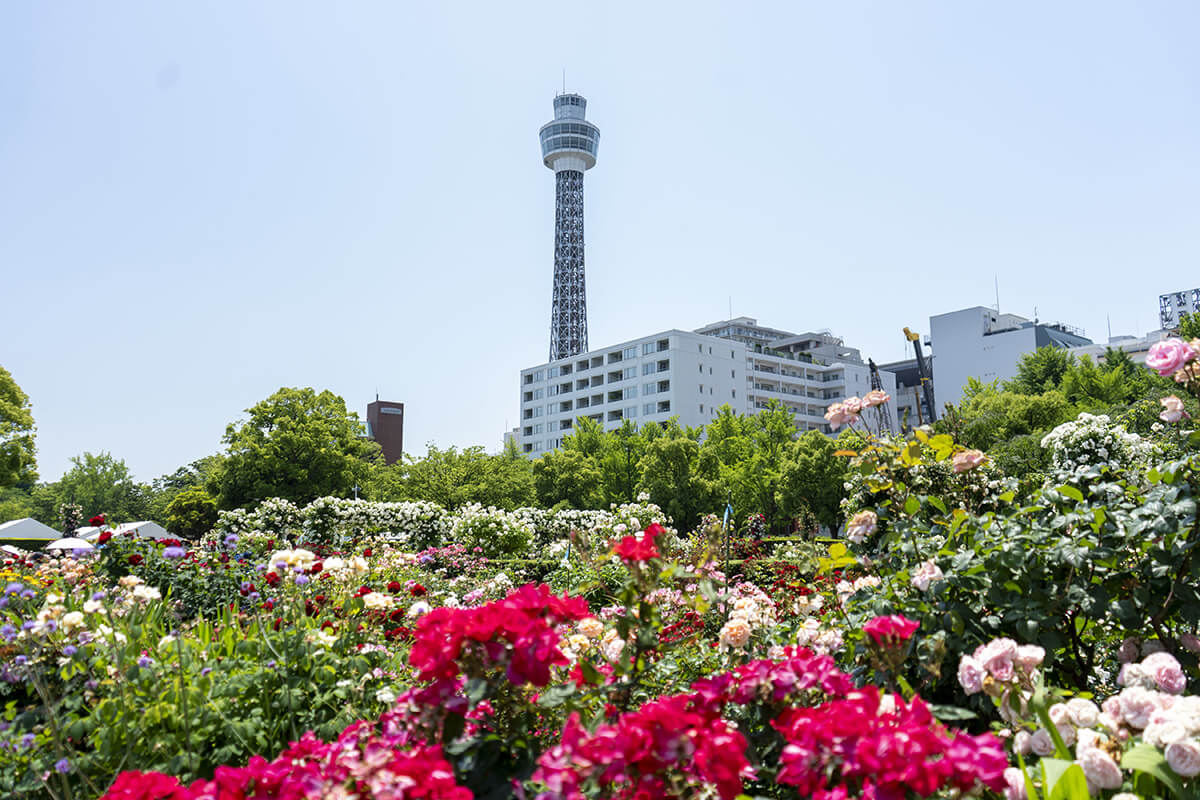 山下公園
