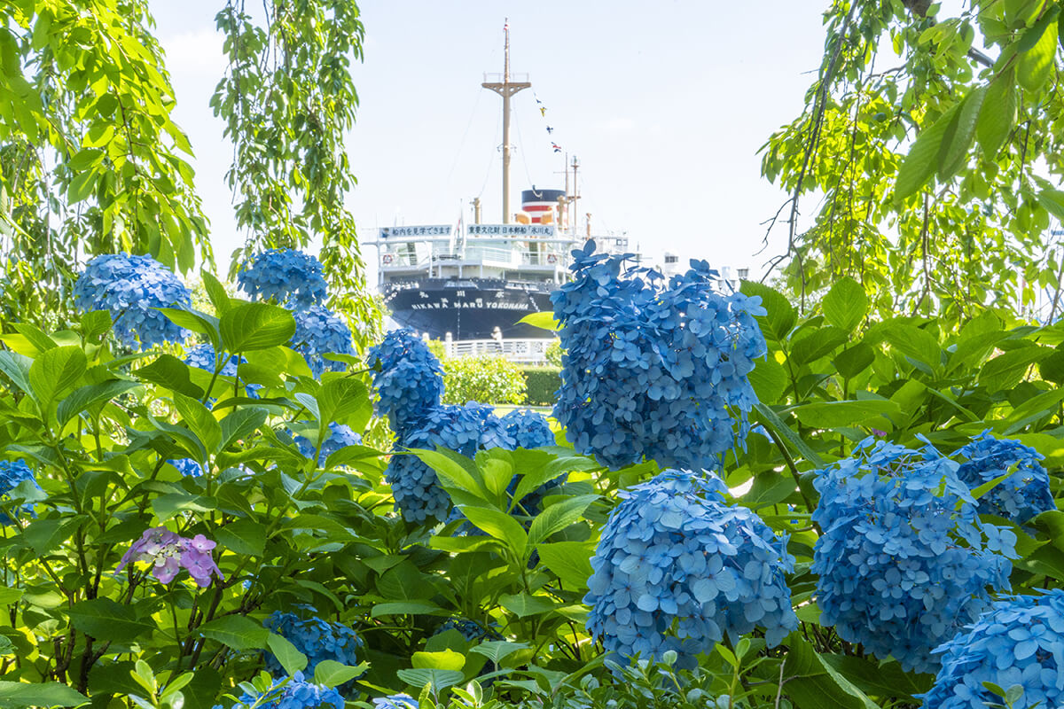 山下公園