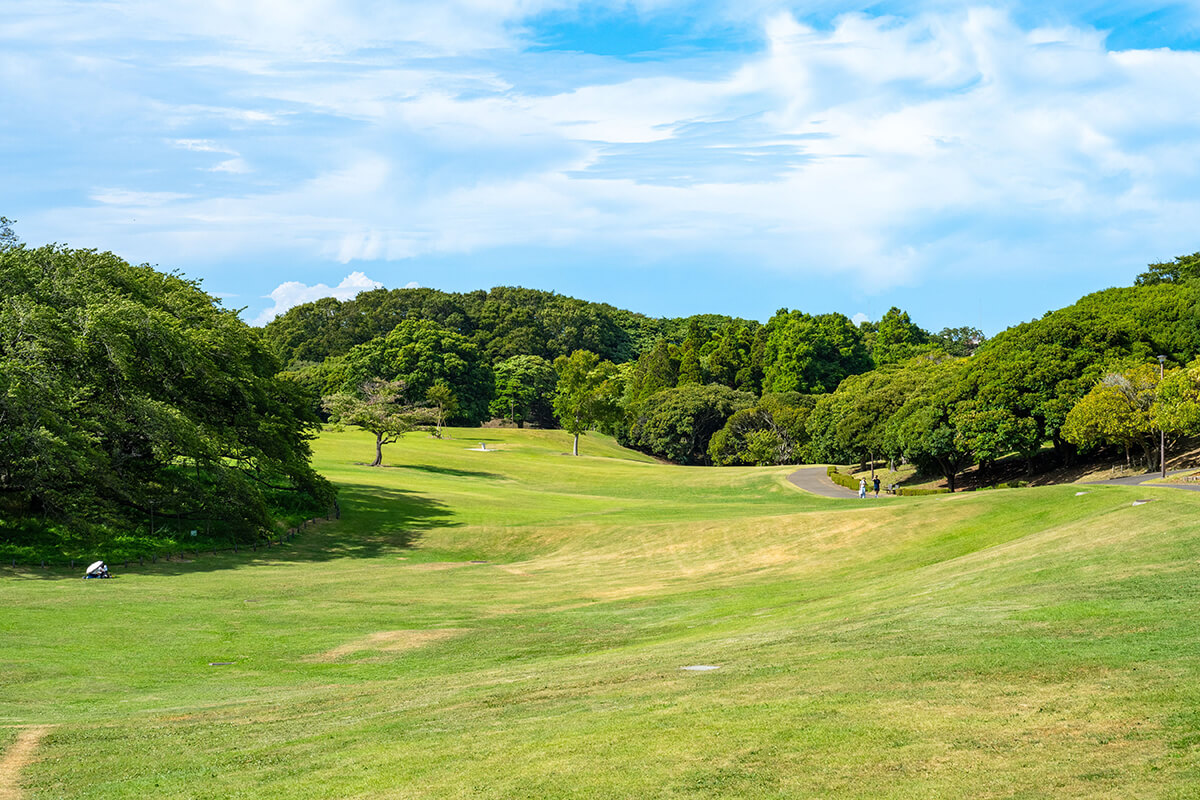 根岸森林公園