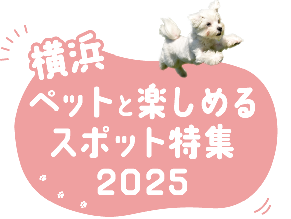 横浜 ペットと楽しめるスポット特集2025