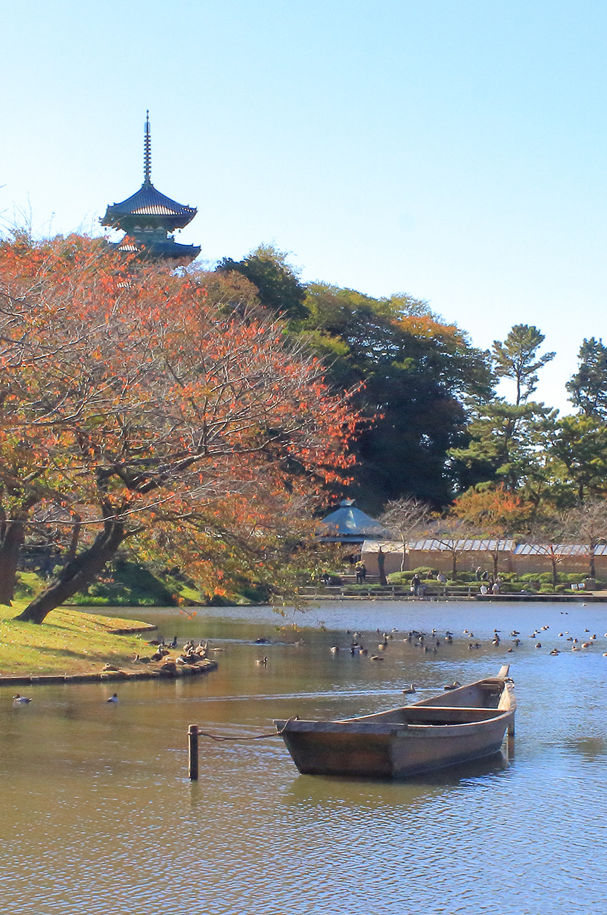 三溪園 三重塔 初秋