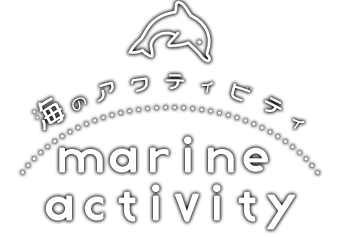海のアクティビティ