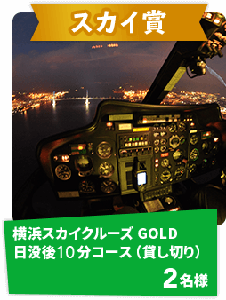 横浜スカイクルーズ　GOLD（ゴールド）-日没後10分コース（貸し切り）2名様