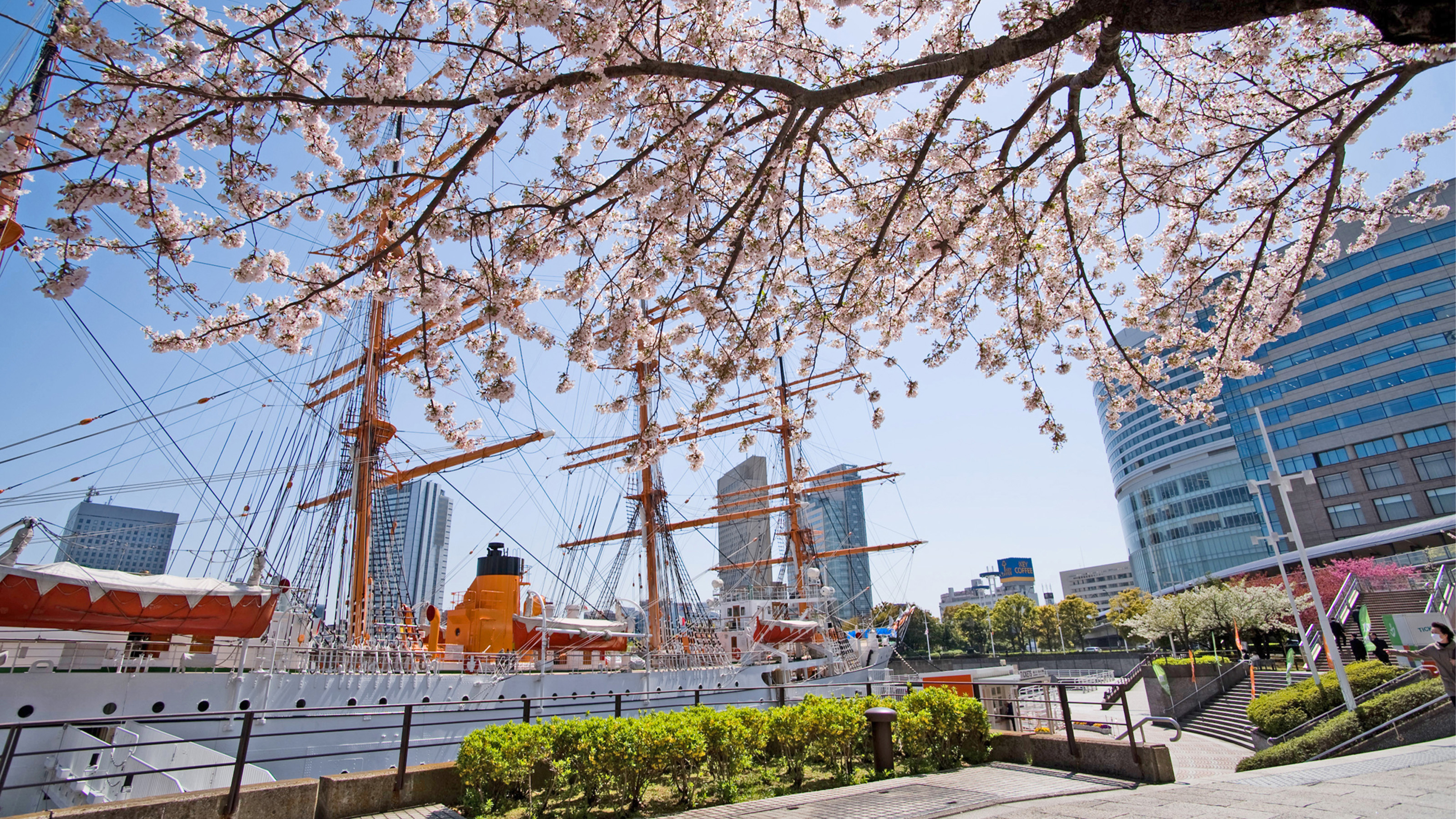 春の横浜　ゴールデンウィーク　特集
