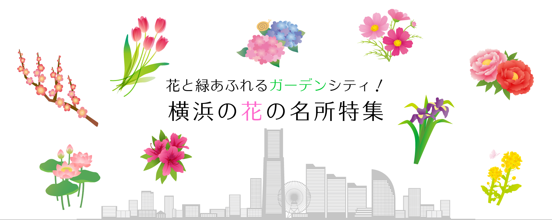 公式 横浜市観光情報サイト Yokohama Official Visitors Guide 公式 横浜市観光情報サイト Yokohama Official Visitors Guide