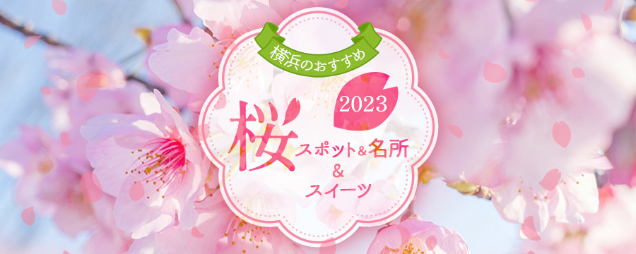 【2022年版】横浜のおすすめ桜スポット＆名所＆桜スイーツ