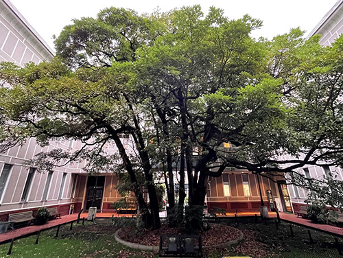 横浜開港資料館　Yokohama Archives of History