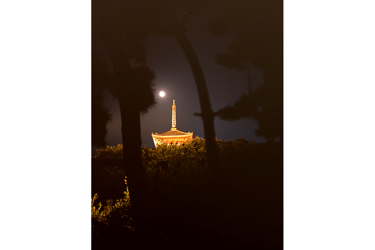 三溪園